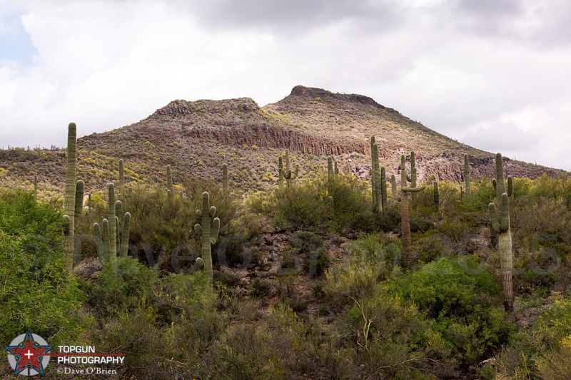 Black Canyon City
4-25-15
