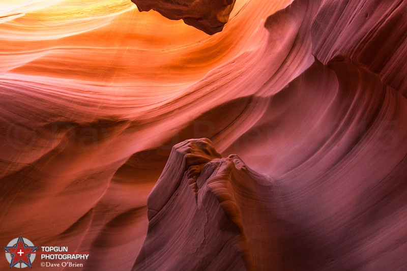 Rattlesnake Canyon
Page AZ
4-27-15
