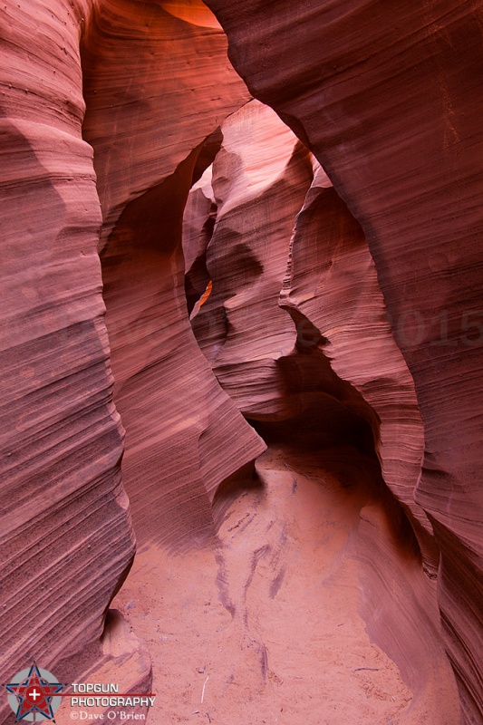 Rattlesnake Canyon
Page AZ
4-27-15
