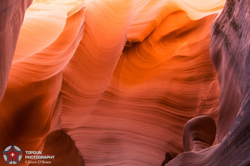 Rattlesnake Canyon
Page AZ
4-27-15
