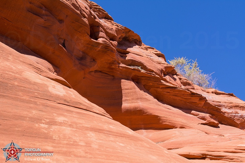 outside of Rattlesnake Canyon
Page AZ
4-27-15
