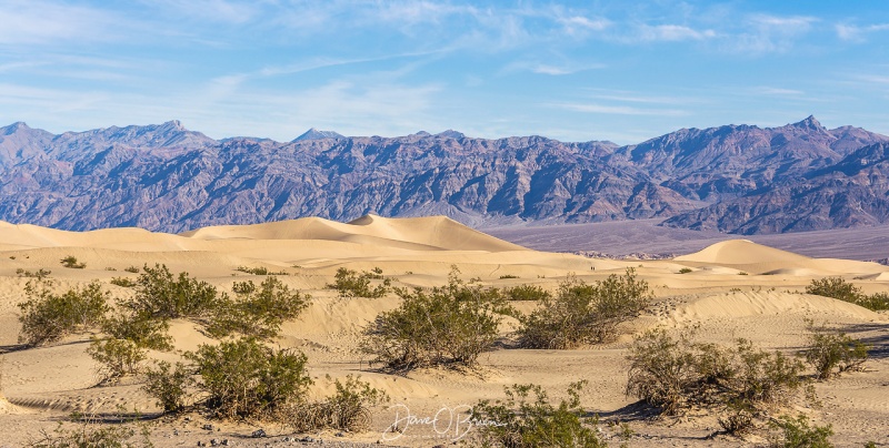 Sand Dunes of Death Valley CA
3/15/19
