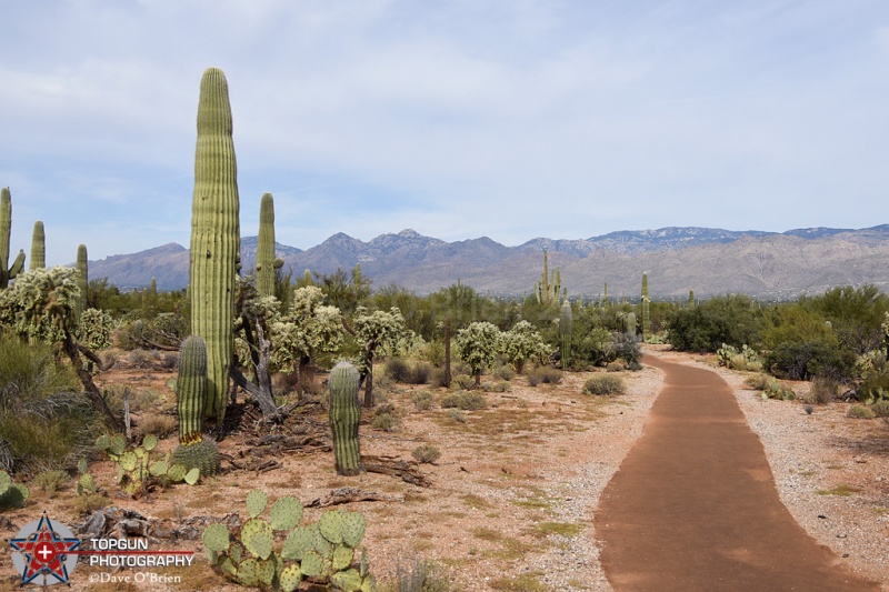 East Sonora National Park
