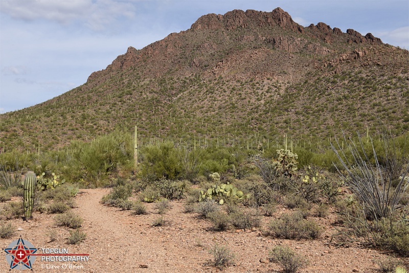 West Sonora National Park
