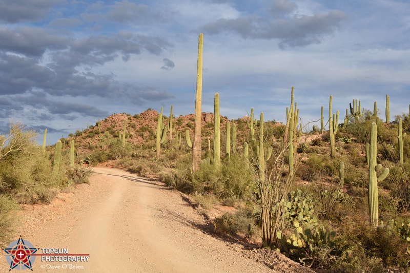 West Sonora National Park
