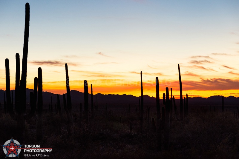 West Sonora National Park
