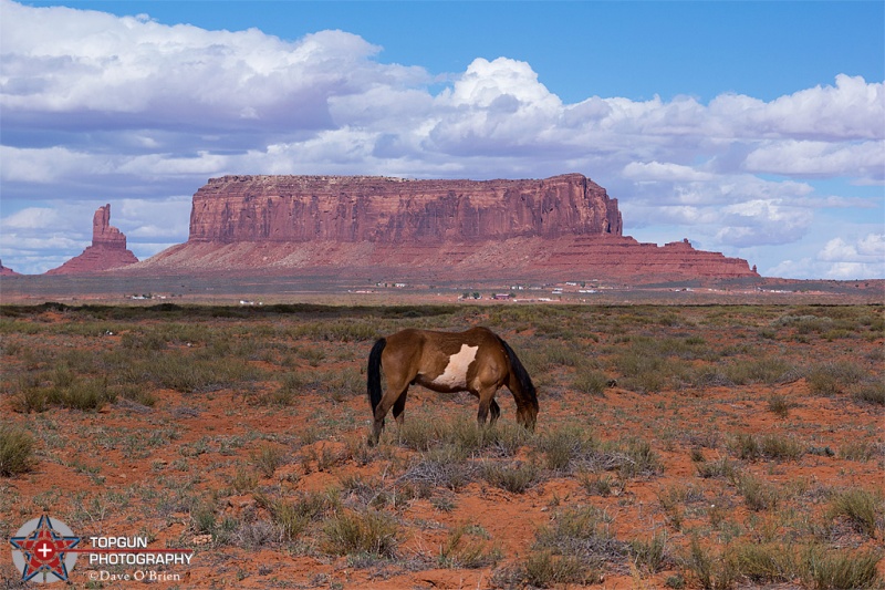 Sentinal Mesa
Monument Valley, UT
4-27-15
