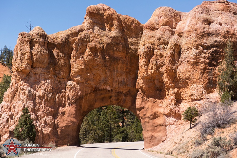 entering Bryce National Park
Bryce National Park, UT 4-28-15
