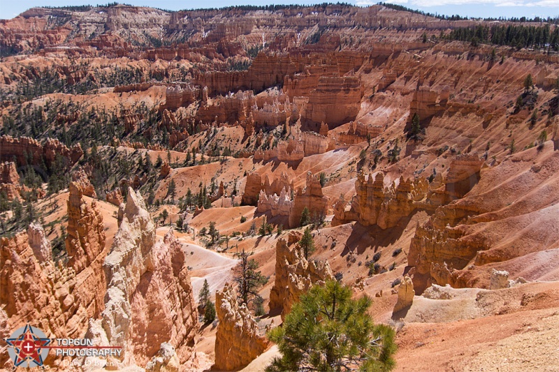 Hoodoo's are like sand castles formed by the wind and rain
Bryce National Park, UT 4-28-15
