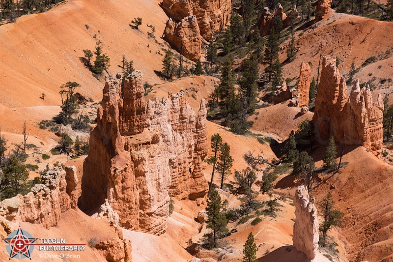 Bryce National Park, UT  4-28-15
