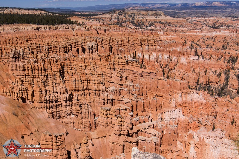 Hoodoos Amphitheater
Bryce National Park, UT  4-28-15
