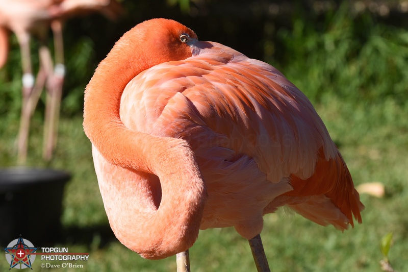 San Diego Zoo
