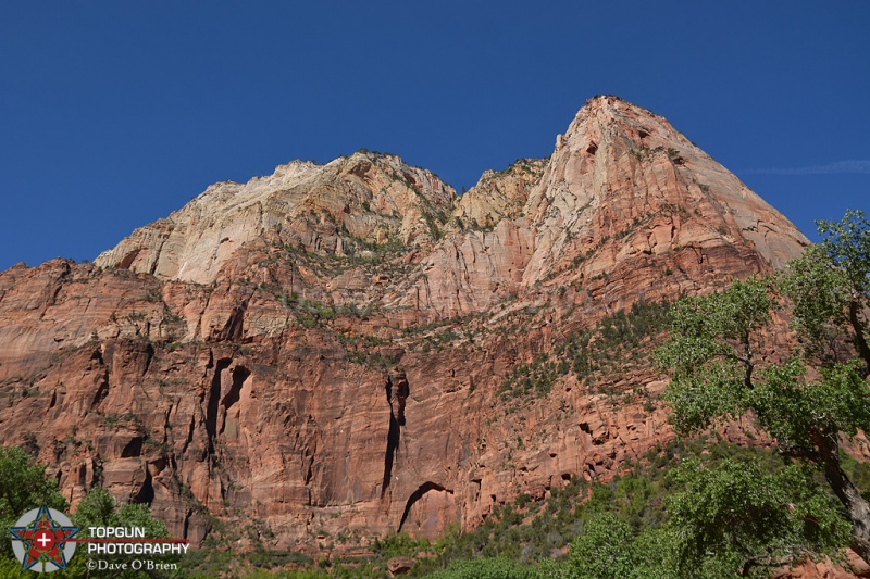 The Sentinel
Zion National Park 4-29-15
