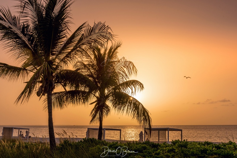 Turks & Caicos
6/23/19
