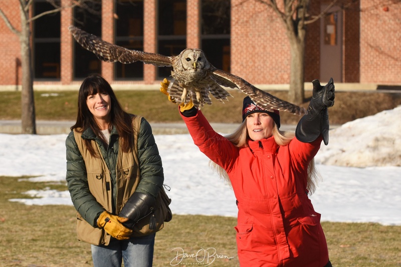 Another one of Jane's helpers releases a Barred Owl 2/13/18
