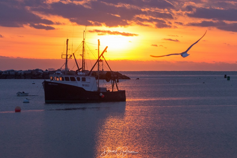 Rye Sunrise 2/7/18
