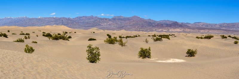 Sand Dunes
Death Valley, CA
3/15/25
Keywords: Death Valley, National Parks, California