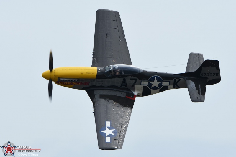 Mark Murphy and his P-51 Mustang
