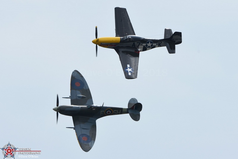 Mustang and Spitfire
