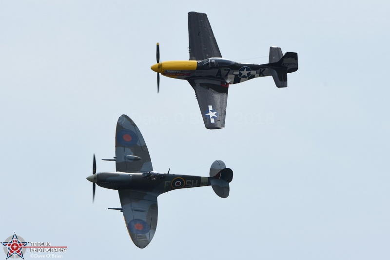 Mustang and Spitfire
