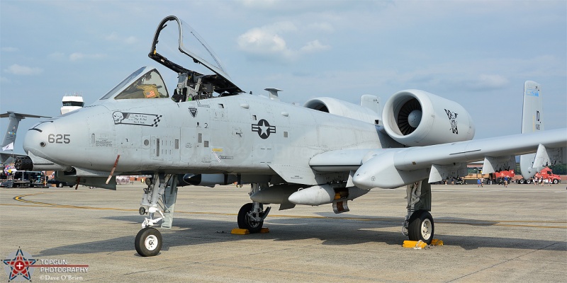 A-10 Warthog of the IN ANG
