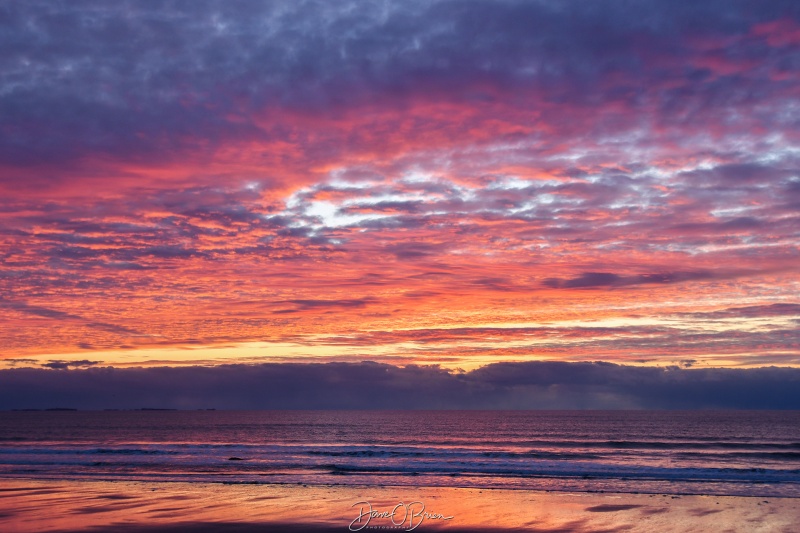 Hampton Beach Sunrise
Hampton, NH
3/19/26
Keywords: New England Coast, Sunrise, Hampton Beach NH