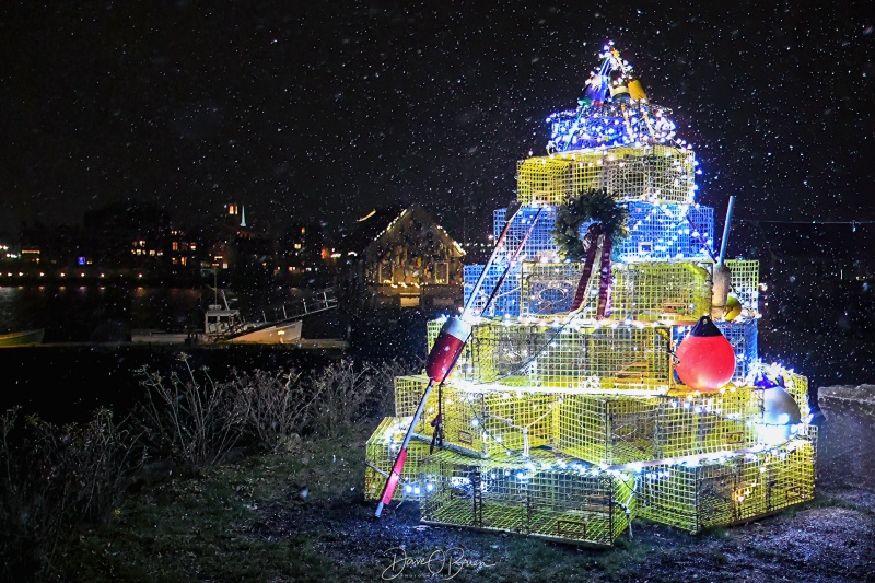 Lobster Trap Christmas Tree
Kittery Me shooting towards Portsmouth NH
12/13/23
Keywords: Lobster Trap Christmas Tree, Kittery Maine, Christmas tree