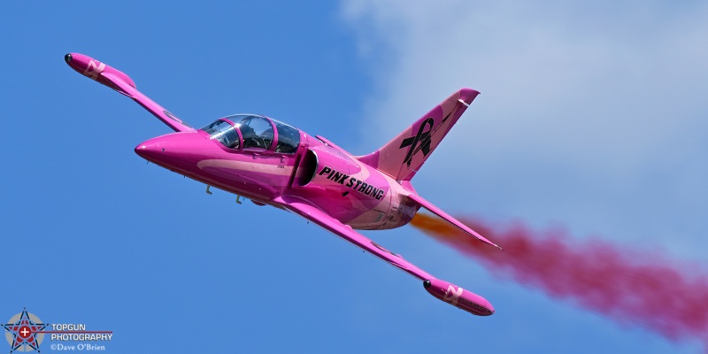 Breast Cancer Pink Jet
L-39 / N101PJ 
7/23/26
Keywords: KOSH, Oshkosh, EAA Air Adventure, Air Show, L-39