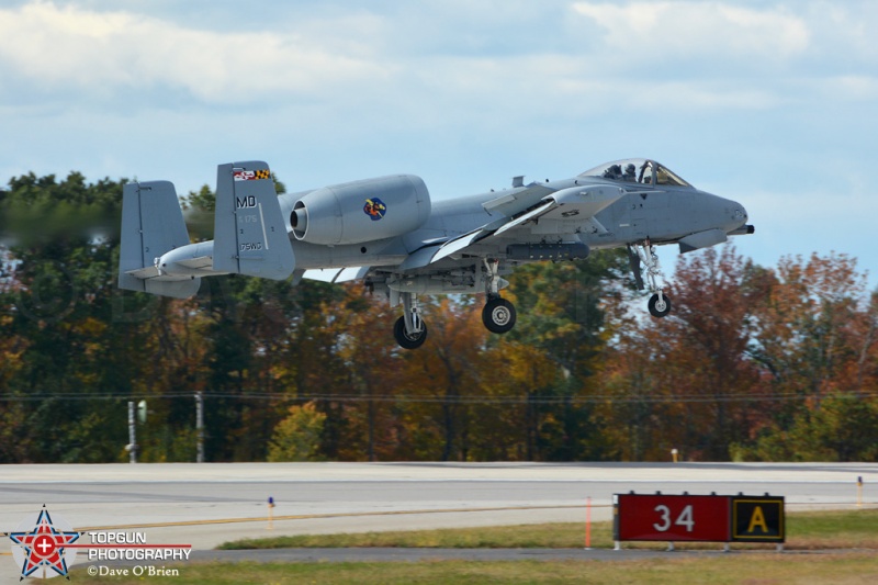 HOG12
A-10C / 79-0175	
175th FW/104FS / Warfield ANGB
10/14/15
