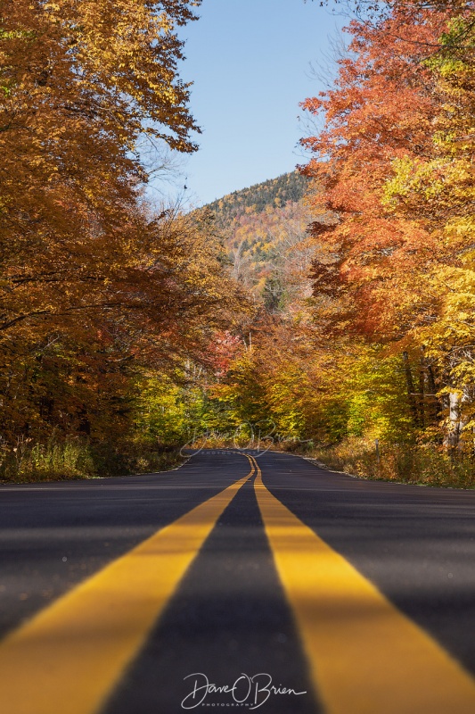 Bear Notch Road
10/14/19
