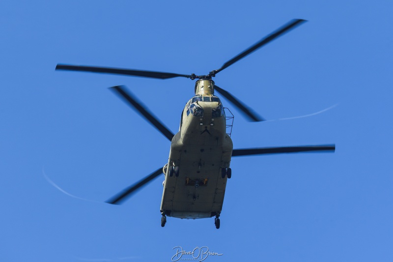 NOMAD88
CH-47F / 11-08088	
2-104th AVN / Bradley ARNGB, CT
9/13/25
Keywords: Military Aviation, KBAF, Barnes, Westfield Airport, CH-47 Chinook, 2-104th AVN