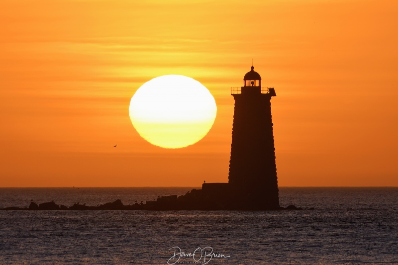 Sunrise at Whaleback Lighthouse
New Castle Commons, NH
11/5/22
Keywords: Whalebacklighthouse lighthouses newcastlecommons sunrises