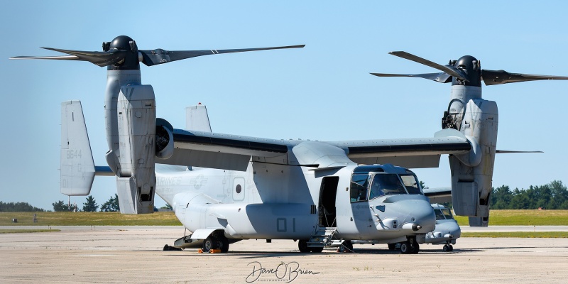 CROSSBO11
MV-22B / 166844
VMMT-204 / NCAS New River, NC
6/25/22
Keywords: Military Aviation, KPSM, Pease, Portsmouth Airport, MV-22B Osprey, VMMT-204