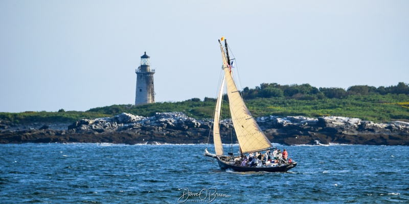 Ram Island Ledge Light
a sunset cruise passes near the lighthouse
9/2/23
Keywords: Portland Me, Lighthouse, Sunset cruise