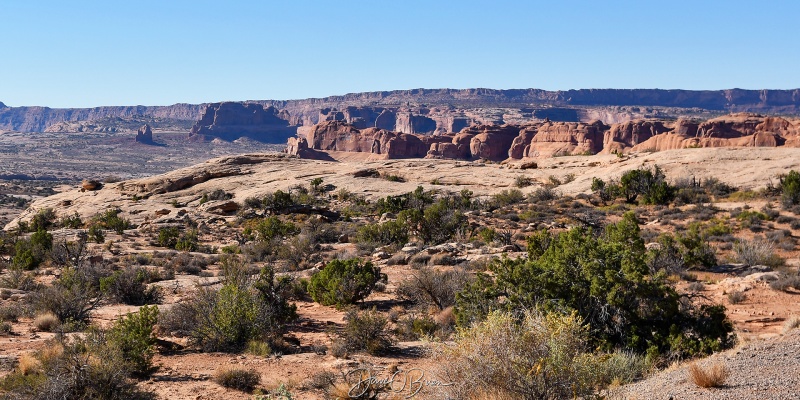 Petrified Dunes 
Arches National Park
10/7/25
Keywords: Moab UT, Arches National Park, Petrified Dunes