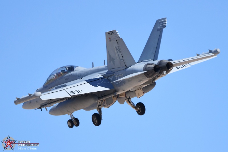 EA-18G Nitro 41 
168767 / VAQ-134 Garudas
NAS Whidbey Island
