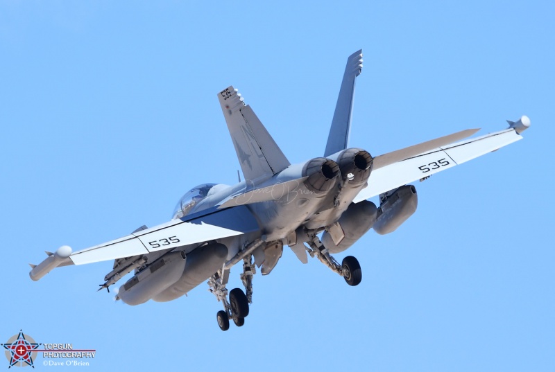 E/A-18G 
169129 / VAQ-134 Garudas
NAS Whidbey Island
