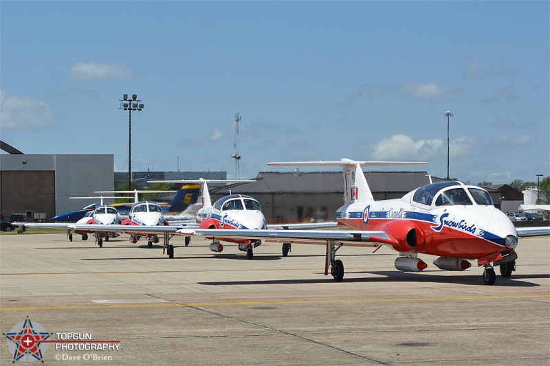 Canadian Snowbirds
