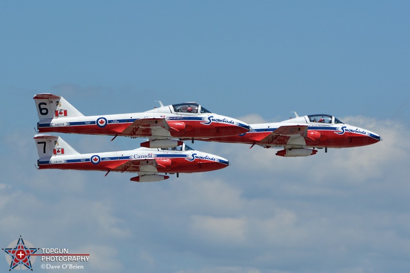 Canadian Snowbirds
