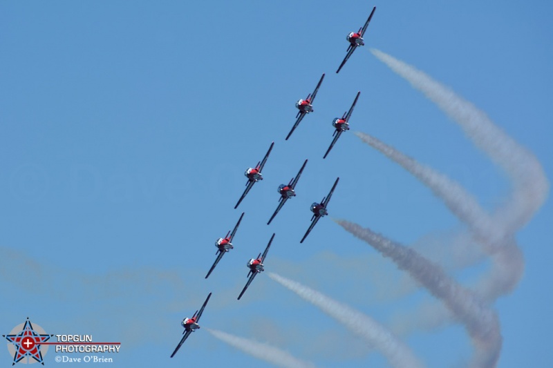 Canadian Snowbirds
