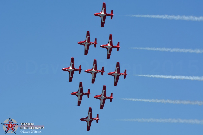 Canadian Snowbirds
