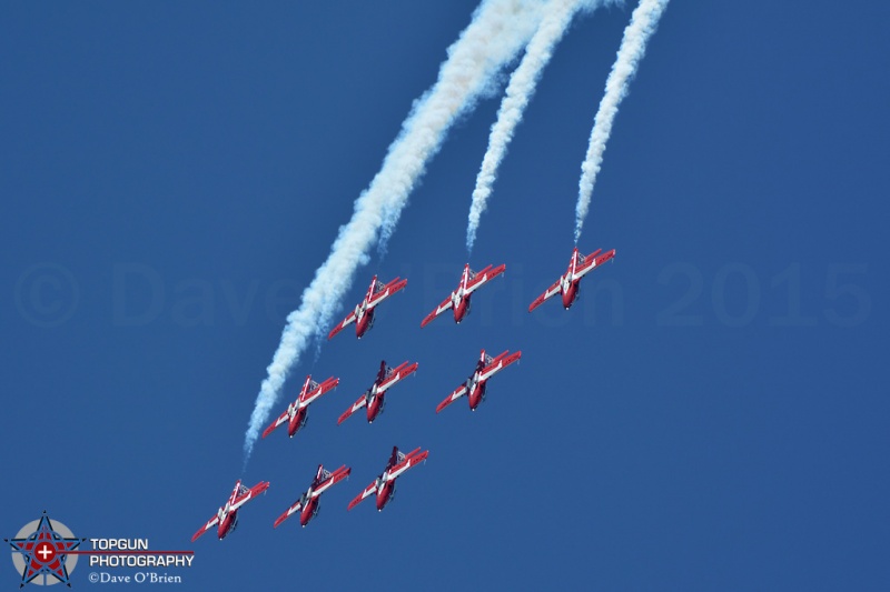 Canadian Snowbirds
