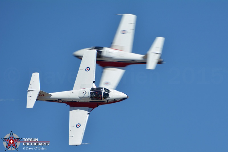 Canadian Snowbirds
