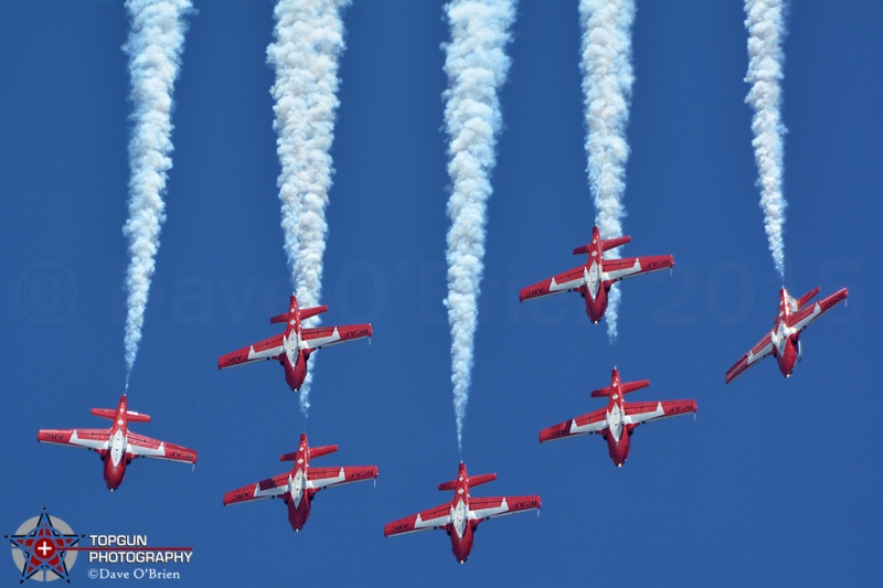 Canadian Snowbirds
