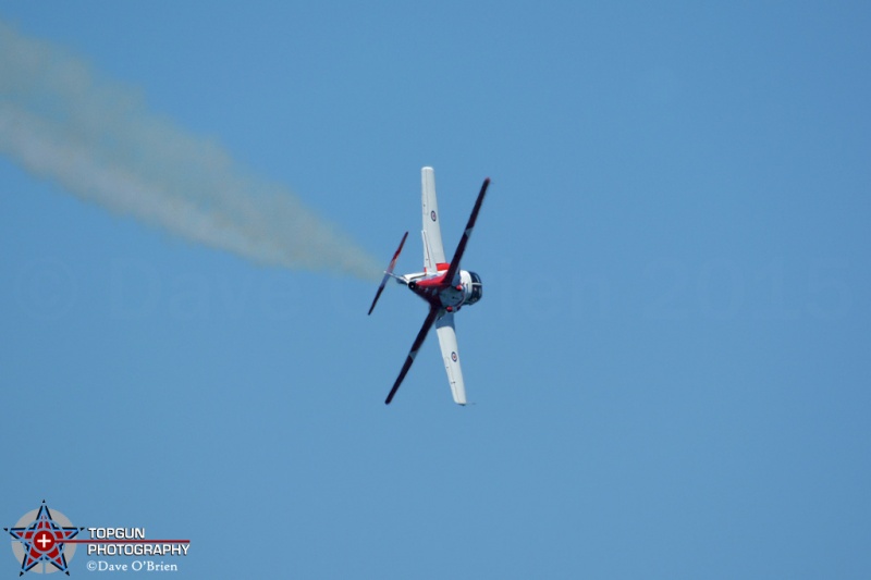 Canadian Snowbirds
