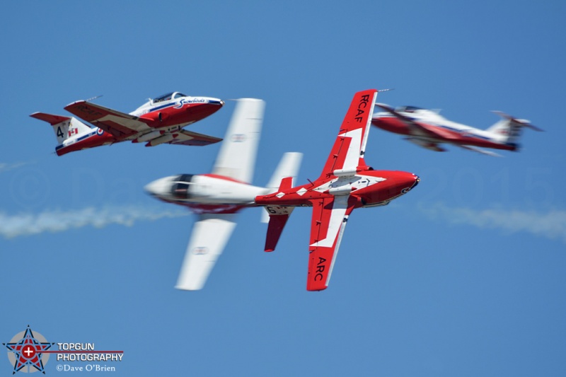 Canadian Snowbirds
