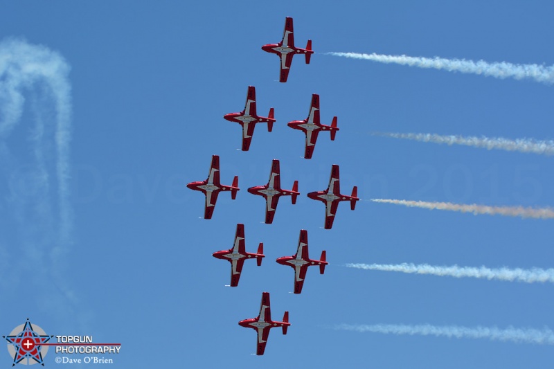 Canadian Snowbirds
