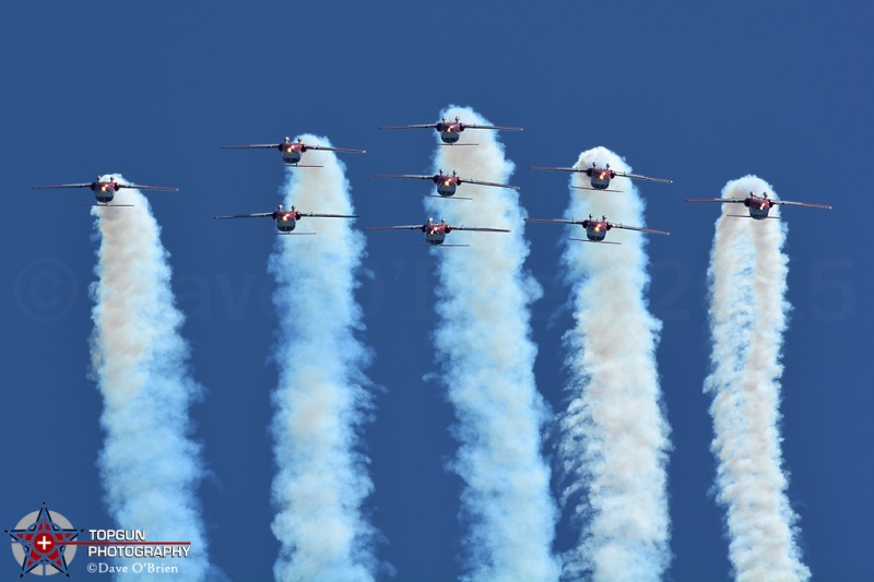 Canadian Snowbirds
