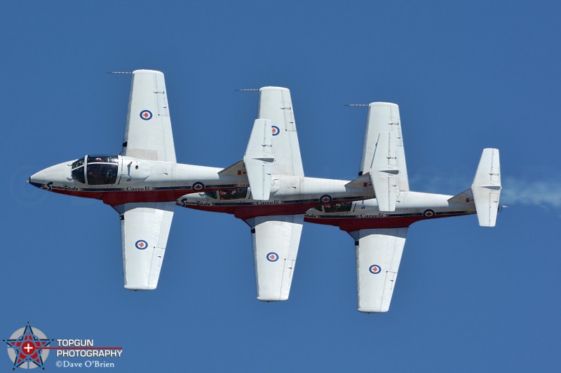 Canadian Snowbirds
