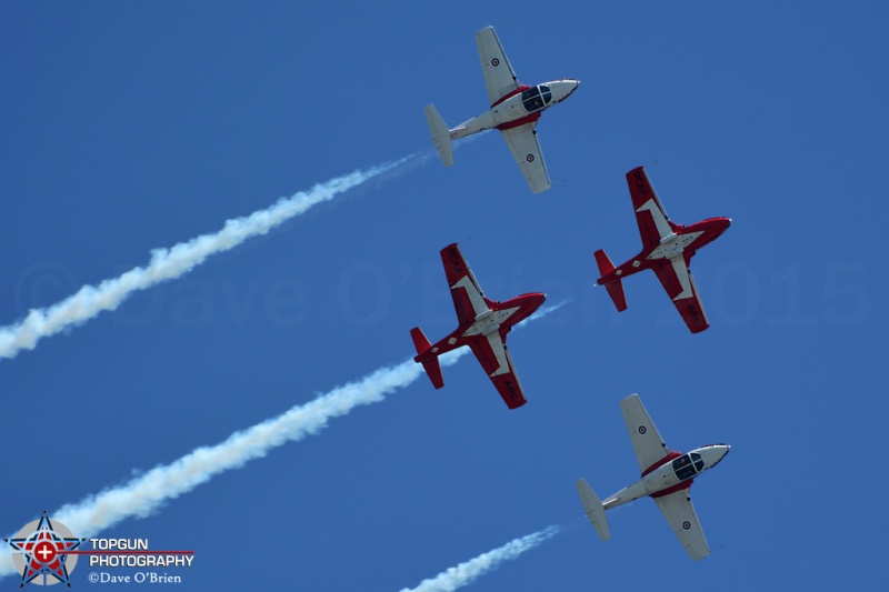 Canadian Snowbirds
